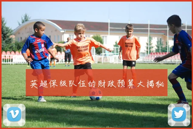 英超保级队伍的财政预算大揭秘